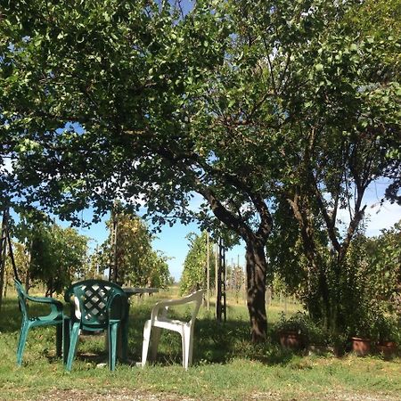San Damiano Il Canale Dei Mulini מראה חיצוני תמונה